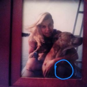 Meet your Posher, Kimberlynn